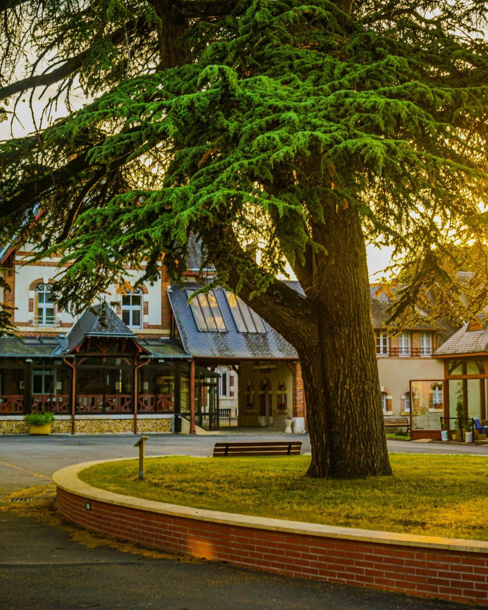 Hotel-Restaurant Domaine De La Grande Garenne Neuvy-sur-Barangeon Eksteriør billede